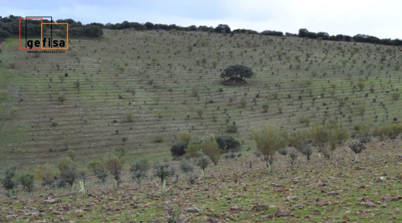Ciudad Real - Valdepeñas - 500000m2