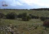 Rural estate for sale in Valdepeñas ref: TR62886 photo