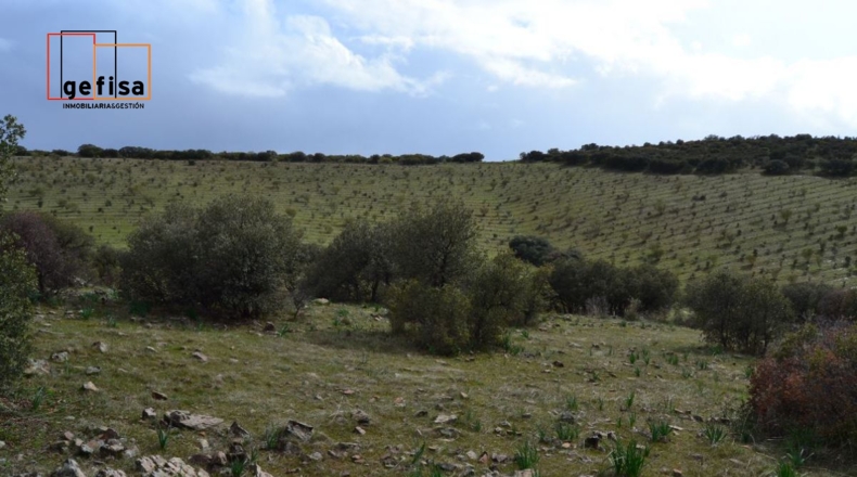 Ciudad Real - Valdepeñas - 500000m2