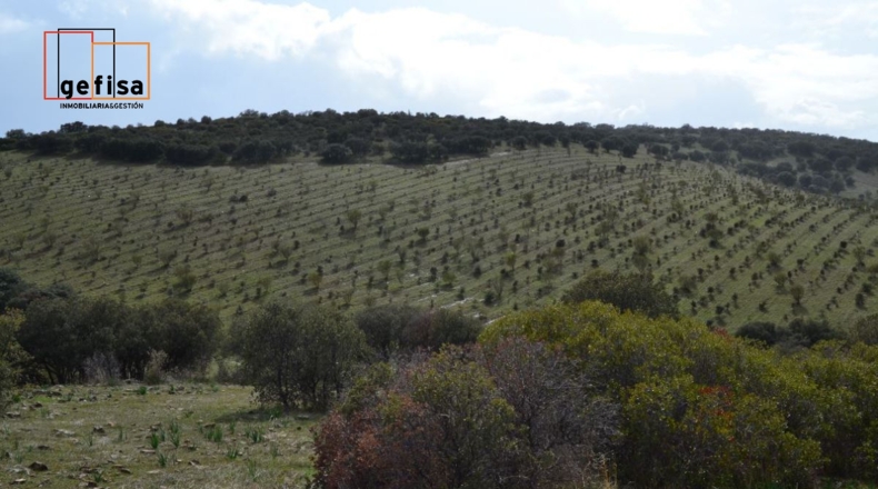Ciudad Real - Valdepeñas - 500000m2