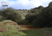Rural estate for sale in Valdepeñas ref: TR62886 photo