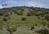 Rural estate for sale in Valdepeñas ref: TR62886 photo