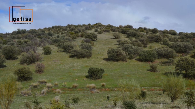 Ciudad Real - Valdepeñas - 500000m2
