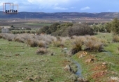 Rural estate for sale in Valdepeñas ref: TR62886 photo