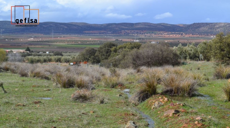Ciudad Real - Valdepeñas - 500000m2