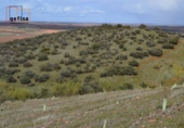 Rural estate for sale in Valdepeñas ref: TR62886 photo