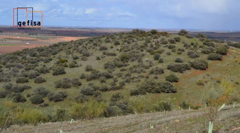 Ciudad Real - Valdepeñas - 500000m2