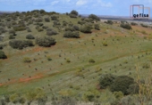 Rural estate for sale in Valdepeñas ref: TR62886 photo