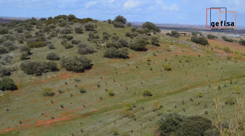 Ciudad Real - Valdepeñas - 500000m2