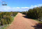 Rural estate for sale in Valdepeñas ref: TR62886 photo