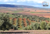 Rural estate for sale in Valdepeñas ref: TR62886 photo