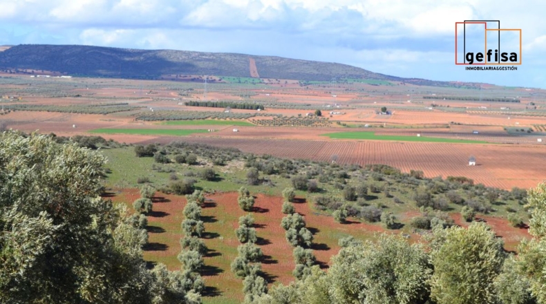 Ciudad Real - Valdepeñas - 500000m2