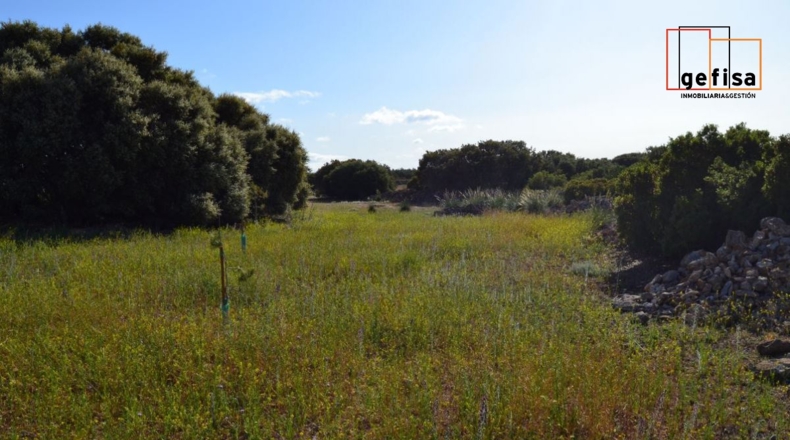 Ciudad Real - Valdepeñas - 13100m2