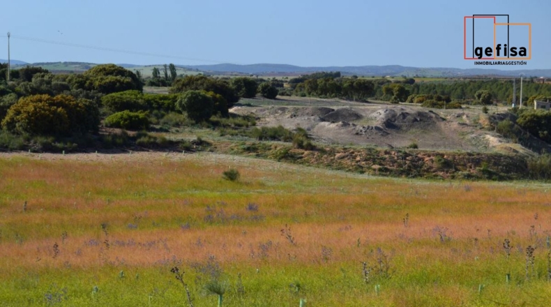 Ciudad Real - Valdepeñas - 13100m2