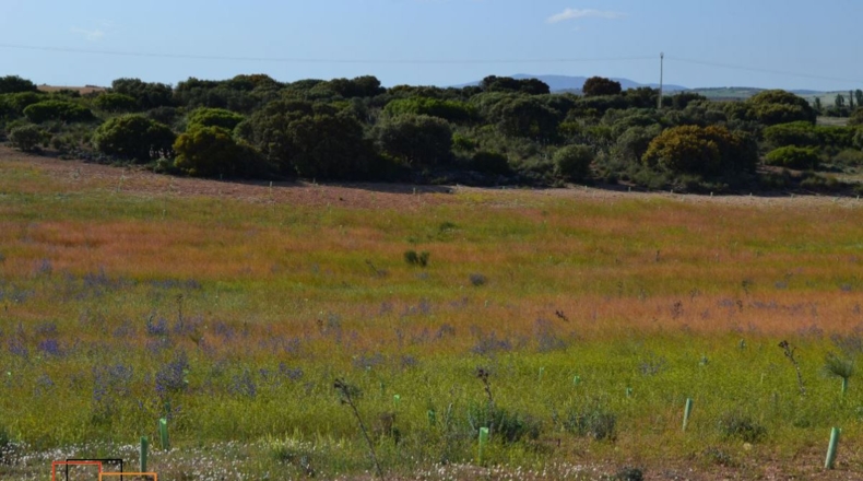 Ciudad Real - Valdepeñas - 13100m2