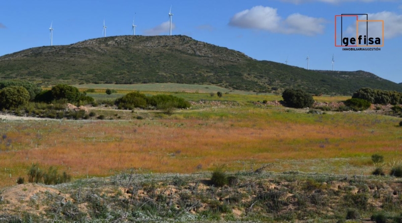 Ciudad Real - Valdepeñas - 13100m2