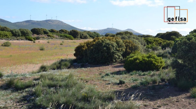 Ciudad Real - Valdepeñas - 13100m2