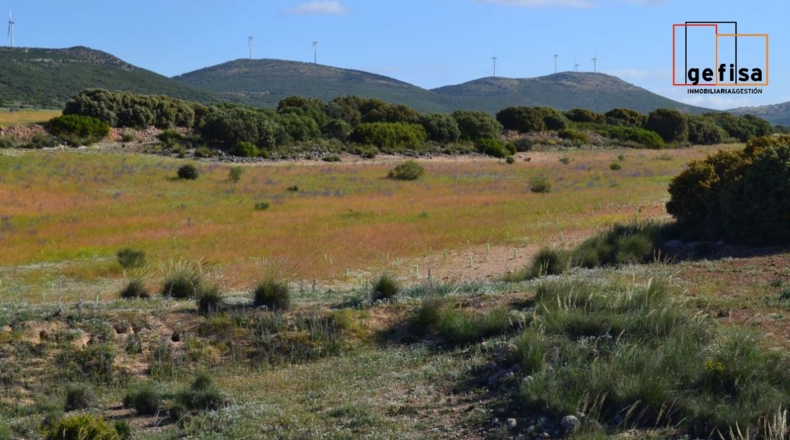 Ciudad Real - Valdepeñas - 13100m2
