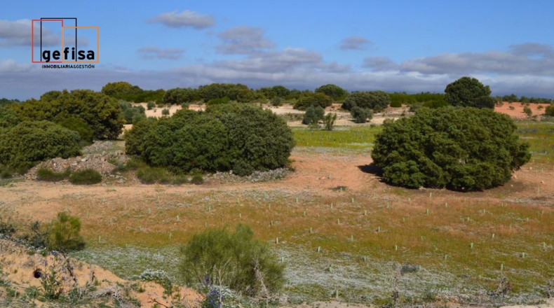 Ciudad Real - Valdepeñas - 13100m2