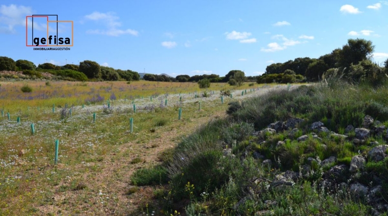 Ciudad Real - Valdepeñas - 13100m2
