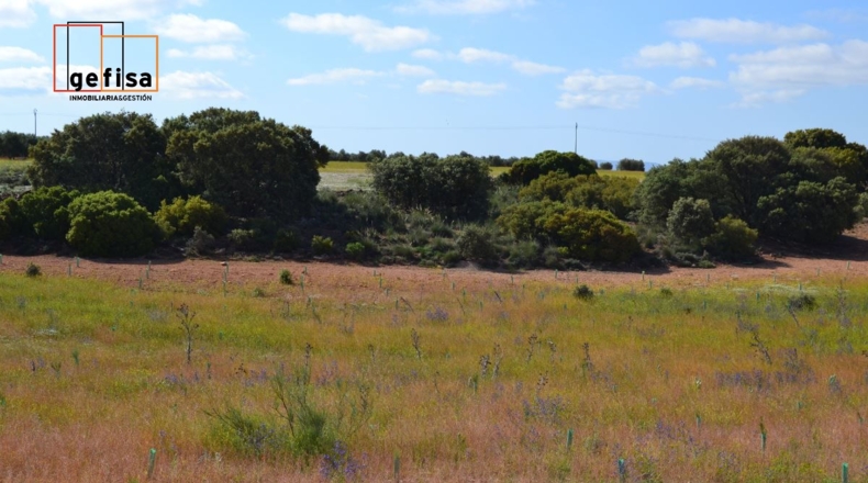 Ciudad Real - Valdepeñas - 13100m2
