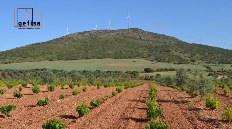 Ciudad Real - Valdepeñas - 13100m2