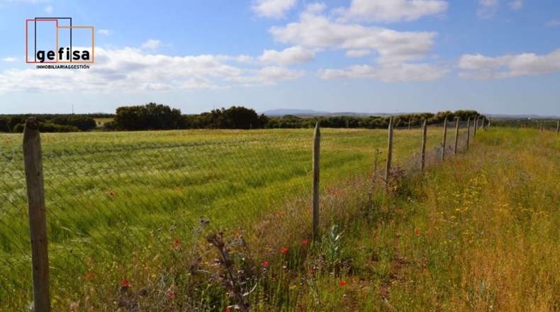 Ciudad Real - Valdepeñas - 13100m2