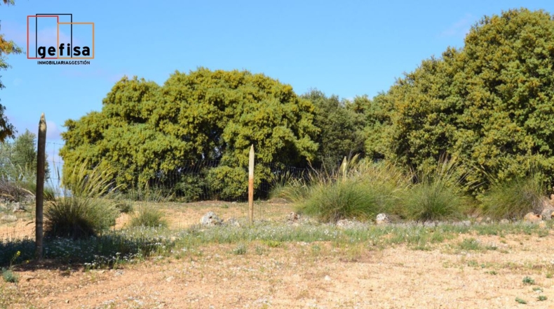 Ciudad Real - Valdepeñas - 13100m2