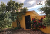 Xalet independent amb terreny en venda a Castellar de Santiago ref.: TR15067 foto