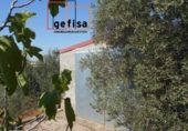 Casa de camp amb terreny en venda a Valdepeñas ref.: TR13720 foto