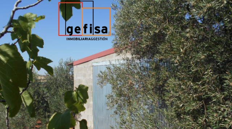 Ciudad Real - Valdepeñas - 88m2