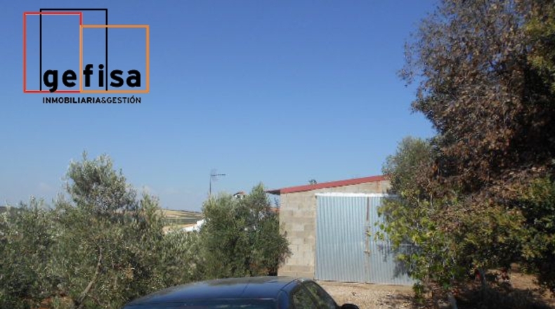 Ciudad Real - Valdepeñas - 88m2