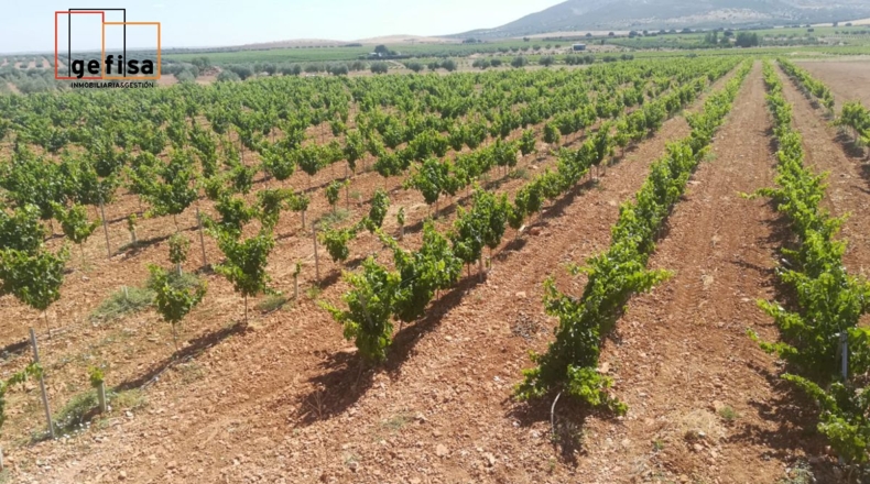 Ciudad Real - Valdepeñas - 7500m2