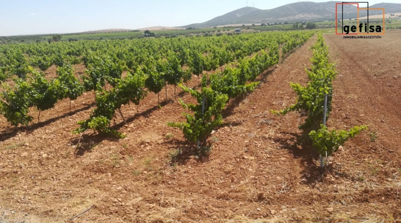 Ciudad Real - Valdepeñas - 7500m2