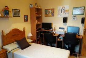 Foto 19