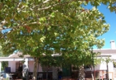 Casa de camp amb terreny en venda a Valdepeñas ref.: TR13719 foto