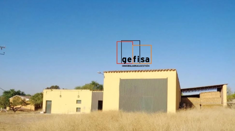 Ciudad Real - Torrenueva - 17000m2
