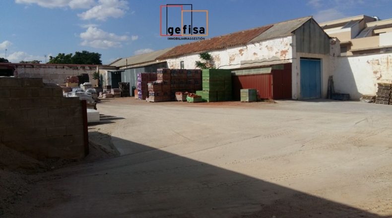 Ciudad Real - Valdepeñas - 2400m2