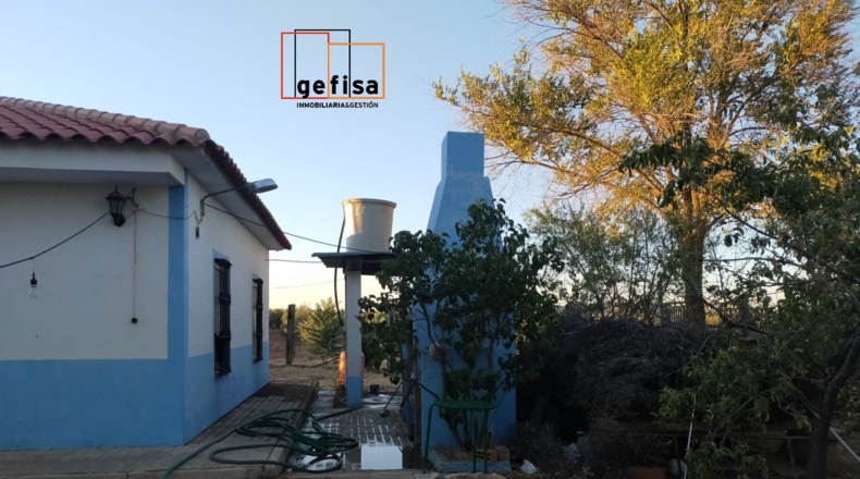 Ciudad Real - Torrenueva - 2084m2