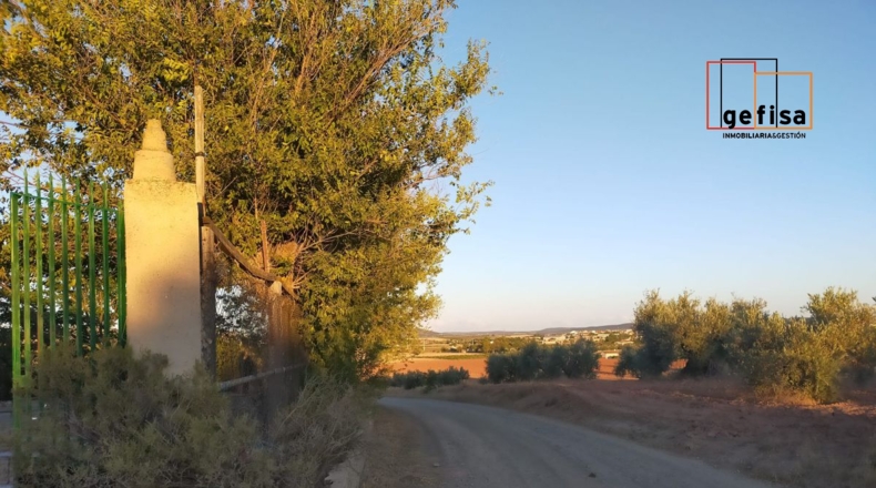 Ciudad Real - Torrenueva - 2084m2