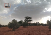 Country house with land for sale in Valdepeñas ref: TR13717 photo
