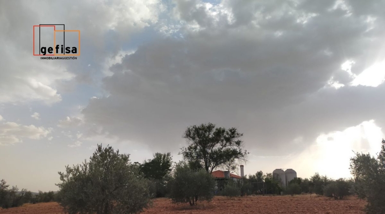 Ciudad Real - Torrenueva - 2084m2