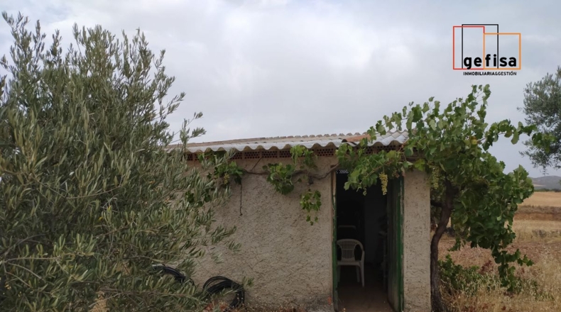 Ciudad Real - Torrenueva - 2084m2