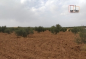 Country house with land for sale in Valdepeñas ref: TR13717 photo