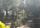 Xalet independent amb terreny en venda a Valdepeñas ref.: TR187541 foto