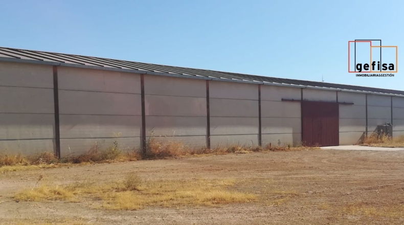 Ciudad Real - Valdepeñas - 12300m2