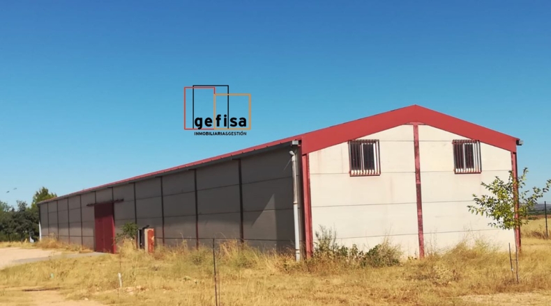 Ciudad Real - Valdepeñas - 12300m2