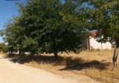 Промышленное здание на продажу в городе Manzanares. Фото