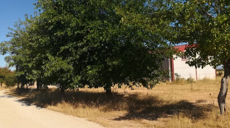 Ciudad Real - Valdepeñas - 12300m2
