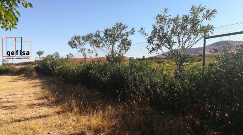 Ciudad Real - Valdepeñas - 12300m2